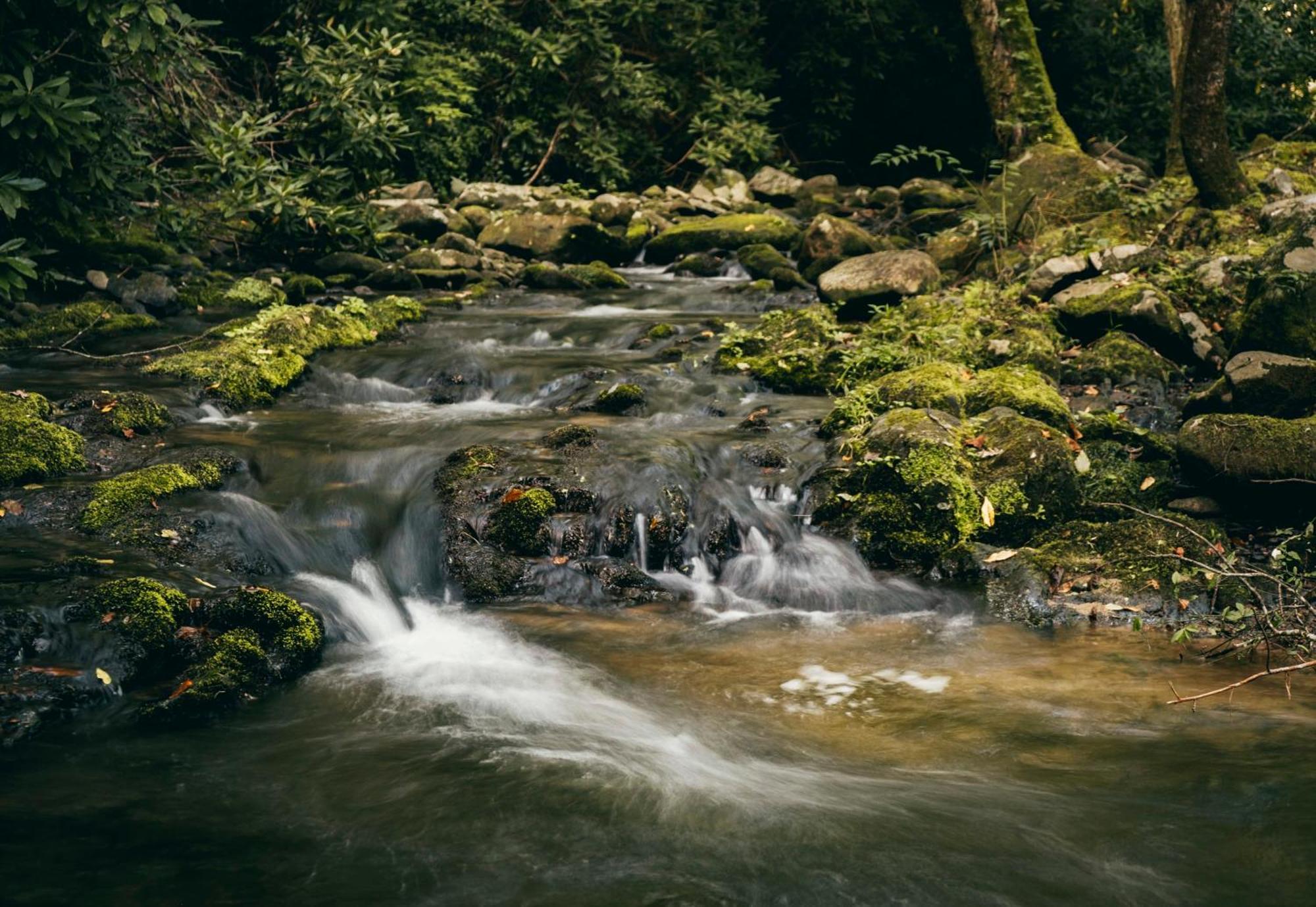 فيلا The Dogwood In Treehouse Grove At Norton Creek جاتلينبرج المظهر الخارجي الصورة