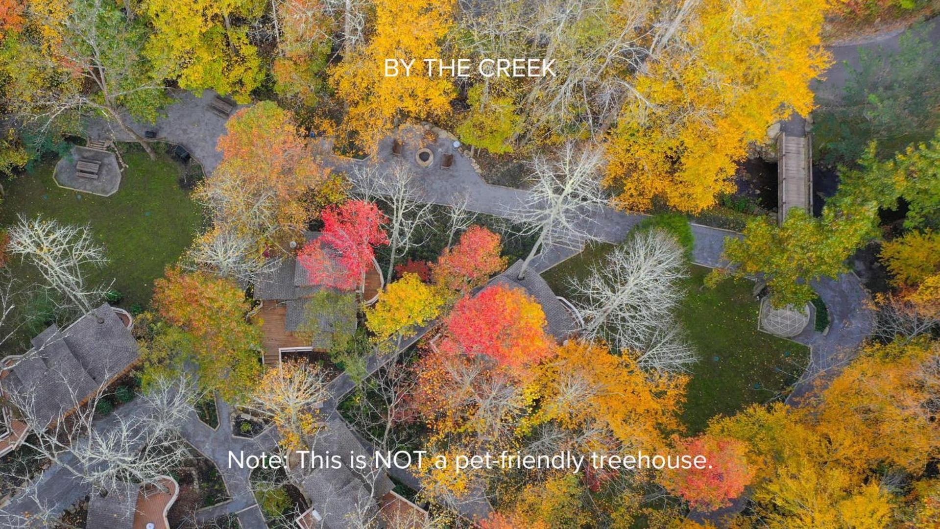 فيلا The Dogwood In Treehouse Grove At Norton Creek جاتلينبرج المظهر الخارجي الصورة